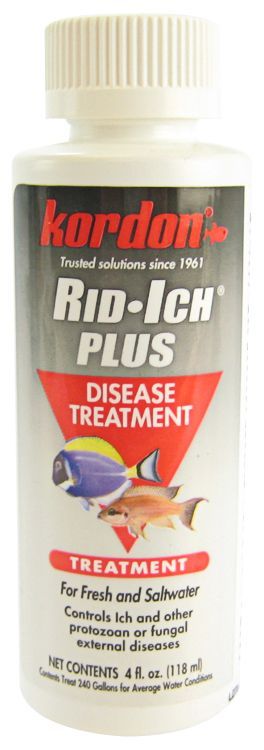 [Pack of 4] - Kordon Rid-Ich + Disease Treatment 4 oz