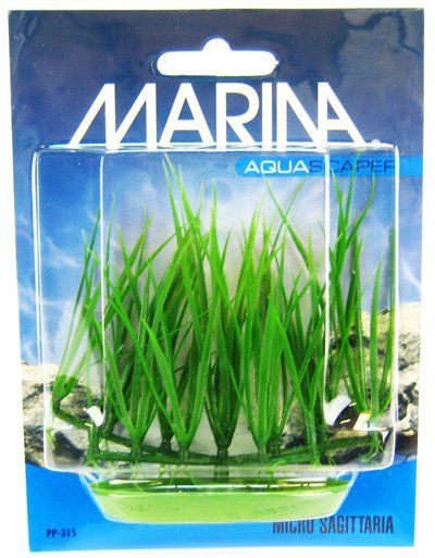 [Pack of 4] - Marina Foreground Micro Sagittaria Aquarium Plant Micro Sagittaria Aquarium Plant