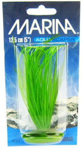 [Pack of 4] - Marina Hairgrass Plant 5" Tall