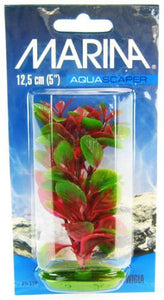 [Pack of 4] - Marina Red Ludwigia Plant 5" Tall
