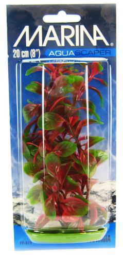 [Pack of 4] - Marina Red Ludwigia Plant 8