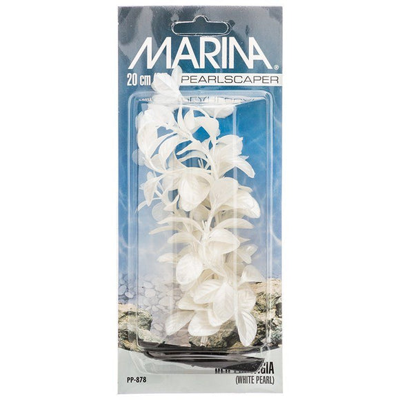 [Pack of 4] - Marina Pearlscaper Ludwigia Plant - White Pearl 8