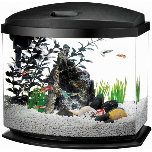 Aqueon LED Mini Bow Desktop Aquarium Kit - Black