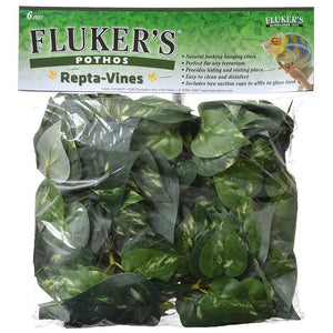 [Pack of 3] - Flukers Pothos Repta-Vines 6' Long