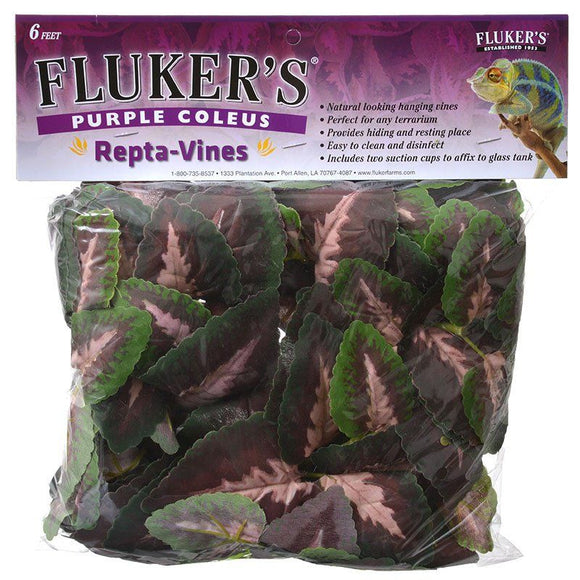 [Pack of 3] - Flukers Purple Coleus Repta-Vines 6' Long