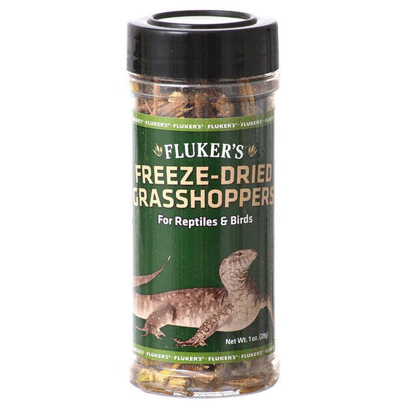 [Pack of 4] - Flukers Freeze-Dried Grasshoppers 1 oz