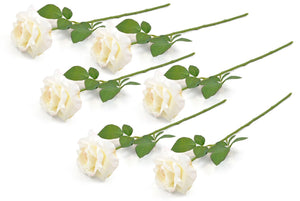 Artificial Flowers - Set of 6 Ivory Open Roses