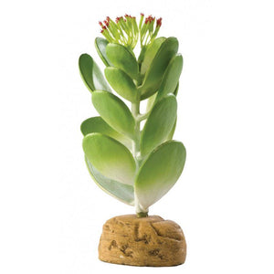 [Pack of 3] - Exo-Terra Desert Jade Cactus Terrarium Plant 1 Pack