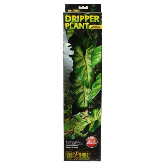 Exo-Terra Dripper Plant Large - 1 Pack