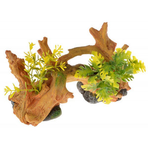 Exotic Environments Driftwood Centerpiece with Plants - Small