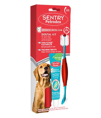 [Pack of 3] - Sentry Petrodex Dental Kit for Adult Dogs 1 count