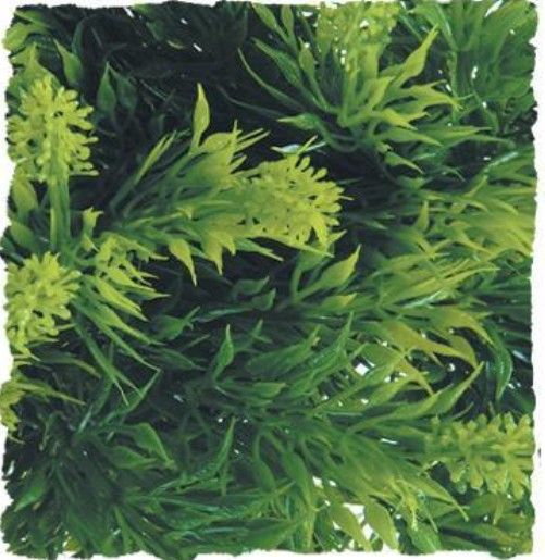 [Pack of 4] - Zoo Med Malaysian Fern Plant 1 count