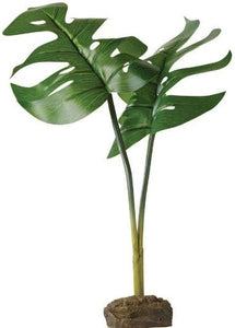 Exo Terra Philodendron Smart Terrarium Plant