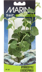[Pack of 4] - Marina EcoScaper Hydrocotyle Leucocephala Silk Plant 8"H - 1 count