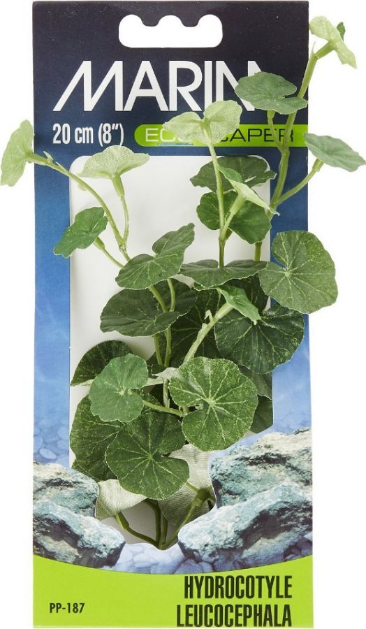 [Pack of 4] - Marina EcoScaper Hydrocotyle Leucocephala Silk Plant 8