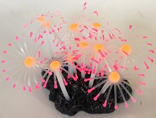 [Pack of 3] - Aquatic Creations Aquarium Decor Star Polyps Pink & Orange 1 count