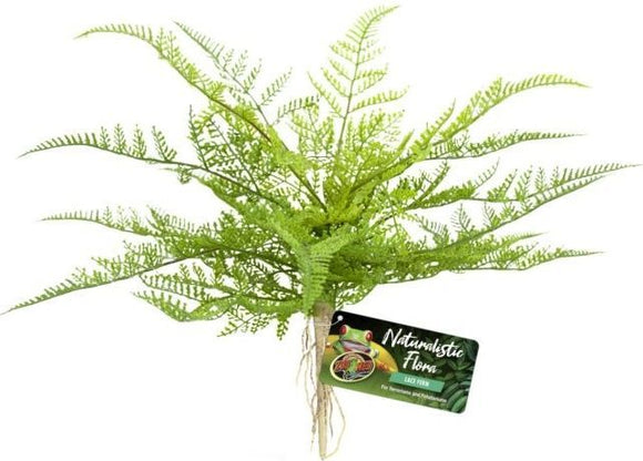 [Pack of 4] - Zoo Med Naturalistic Flora Lace Fern 1 count