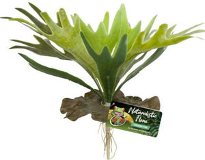 [Pack of 3] - Zoo Med Naturalistic Flora Staghorn Fern 1 count