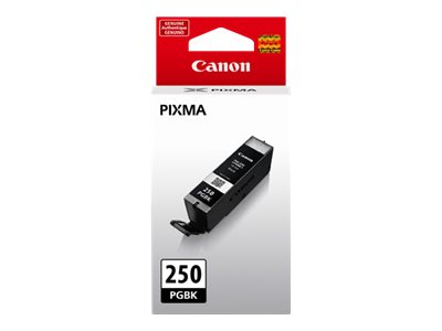 PACK OF 2 - CANON PIXMA MG5420 PGI250 SD PIGMENT BLACK
