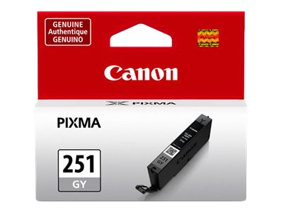 PACK OF 2 - CANON PIXMA MG5450 CLI251 SD GRAY INK