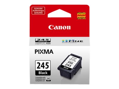 PACK OF 2 - CANON PIXMA MG2420 PG245 SD PIGMENT BLACK
