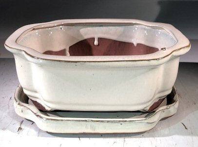Beige Ceramic Bonsai Pot - Rectangle<br>With Humidity Drip Tray<br>8