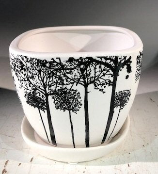 Tree Silhouette Bonsai Pot - Square<br>With Attached Humidity / Drip Tray<br>4.5