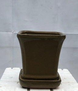 Olive Green Ceramic Bonsai Pot<br>Square With Attached Humidity / Drip Tray <br><i>5.25" x 5.25" x 5.5"</i>