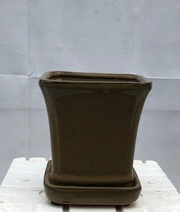Olive Green Ceramic Bonsai Pot<br>Square With Attached Humidity / Drip Tray <br><i>5.25
