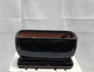 Black Ceramic Bonsai Pot- Rectangle <br>Professional Series With Attached Humidity/Drip Tray <br>8.25" x 6.0" x 4.0"