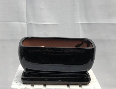 Black Ceramic Bonsai Pot- Rectangle <br>Professional Series With Attached Humidity/Drip Tray <br>8.25
