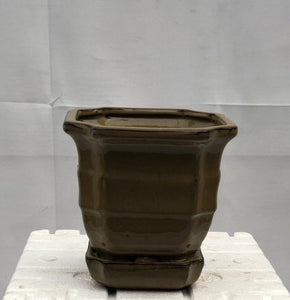 Olive Green Ceramic Bonsai Pot - Square <br>With Humidity / Drip Tray<br>5.5" x 5.5" x 5.5"