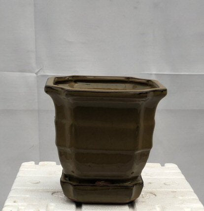 Olive Green Ceramic Bonsai Pot - Square <br>With Humidity / Drip Tray<br>5.5