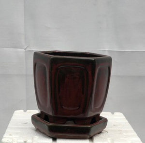 Parisian Red Ceramic Bonsai Pot - Hexagon<br>With Humidity Drip Tray<br>5.5" x 5.5" x 5.5"