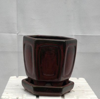Parisian Red Ceramic Bonsai Pot - Hexagon<br>With Humidity Drip Tray<br>5.5