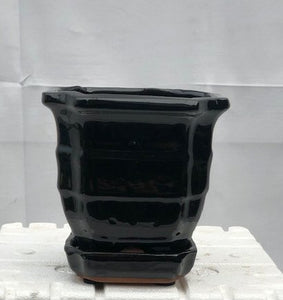 Black Ceramic Bonsai Pot - Square <br>With Humidity / Drip Tray<br>5.5" x 5.5" x 5.5"