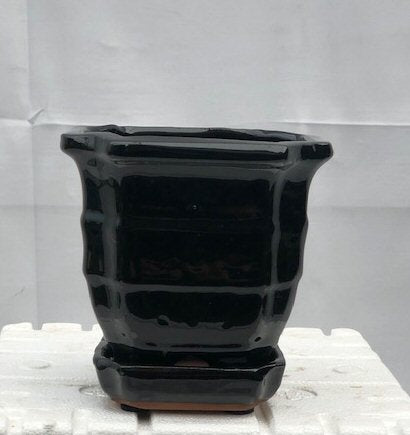 Black Ceramic Bonsai Pot - Square <br>With Humidity / Drip Tray<br>5.5