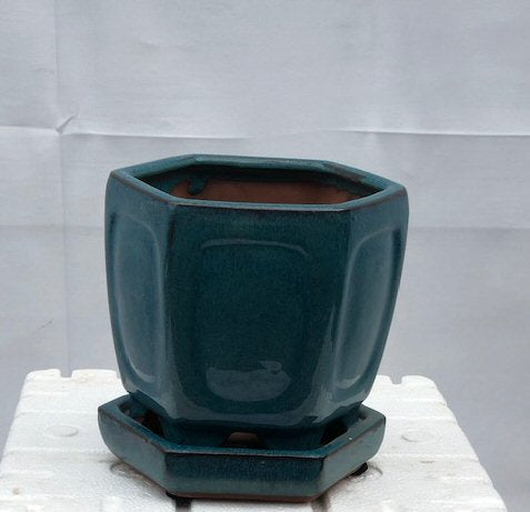 Blue / Green Ceramic Bonsai Pot - Hexagon<br>With Humidity Drip Tray<br>5.5